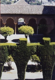 Grenade Alhambra cour-jardin avec jeux d'arbres