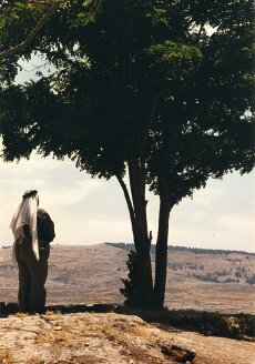 Jerash Jordanie prière à l'ombre d'un arbre
