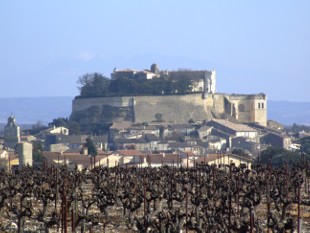 le château de Grignan vu de l'Ouest avec vignes