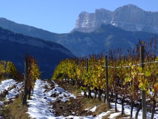 Sentier des Vignes à Vercheny-le-Haut au début de l'hiver