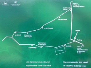 Sentier des Vignes à Vercheny-le-Haut plan d'ensemble