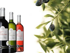 dédiée au vin et à l'olive, la cave coopérative accueille également le Musée de l'Olive